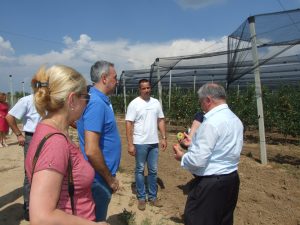 Negotin, Poljoprivreda u godini preduzetnistva, NTS food